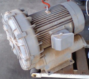 Blower Motor Repair