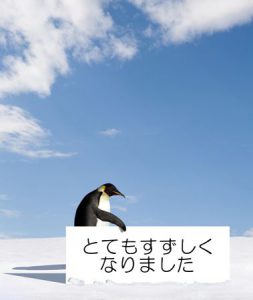 penguin